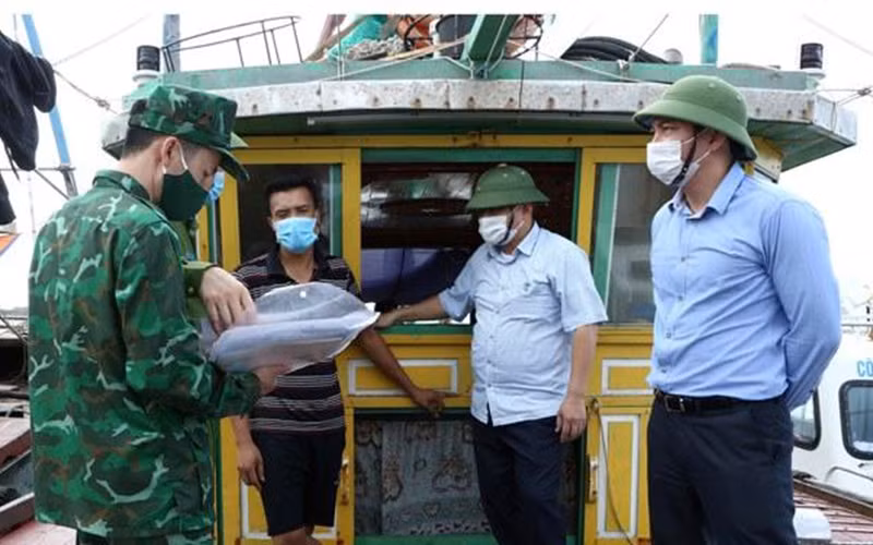 Nỗ lực giữ “vùng xanh” trên tuyến biên giới biển -0