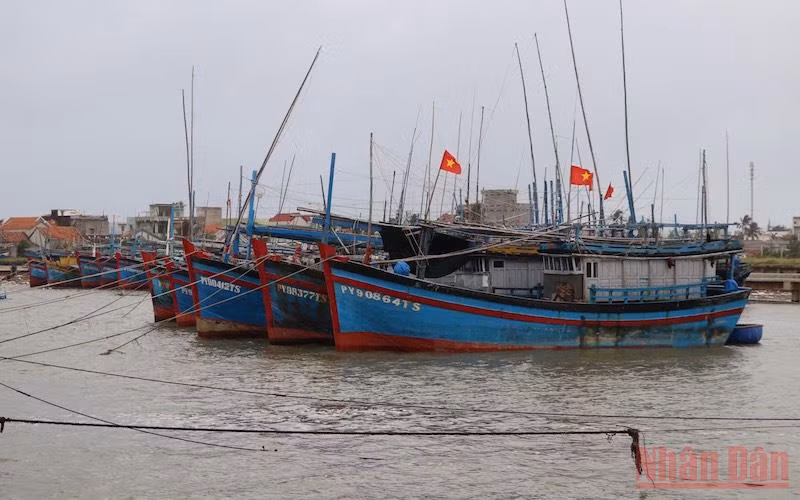Tàu thuyền của ngư dân thành phố Tuy Hoà, Phú Yên đã được kêu gọi, hướng dẫn neo đậu an toàn để tránh bão ven sông Chùa.