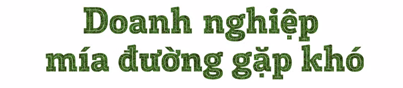 Mía đường “lâm nguy” -0
