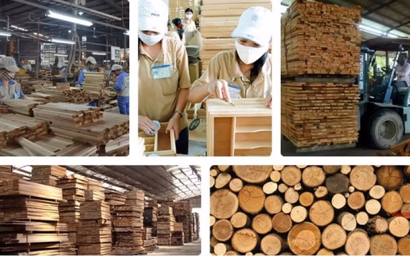 Xuất khẩu lâm sản sáu tháng đầu năm 2021 ước đạt 8,71 tỷ USD, tăng 61,6% so với cùng kỳ năm 2020.