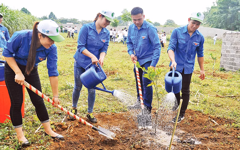 Hưởng ứng Tết trồng cây ở Yên Bái. Ảnh: H.Q 