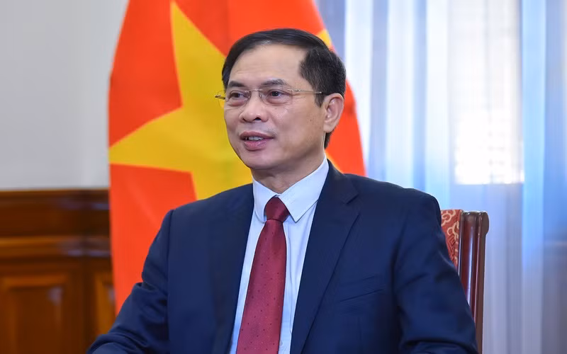 Bộ trưởng Ngoại giao Bùi Thanh Sơn. (Ảnh: Báo Thế giới và Việt Nam)
