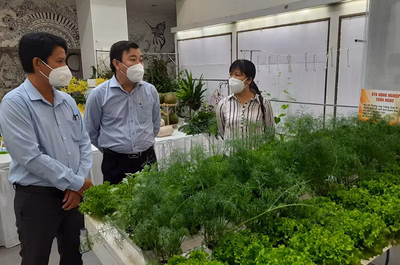 Các đại biểu tham quan sản phẩm nông nghiệp tiêu biểu TP Hồ Chí Minh năm 2020.
