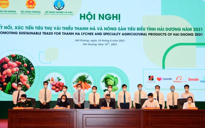 Các sàn thương mại điện tử ký thỏa thuận hợp tác với các doanh nghiệp sản xuất, thu mua chế biến nông sản.