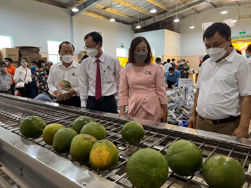 Khánh thành khu phức hợp đa chức năng - Hợp tác xã Bưởi da xanh tỉnh Bến Tre -0