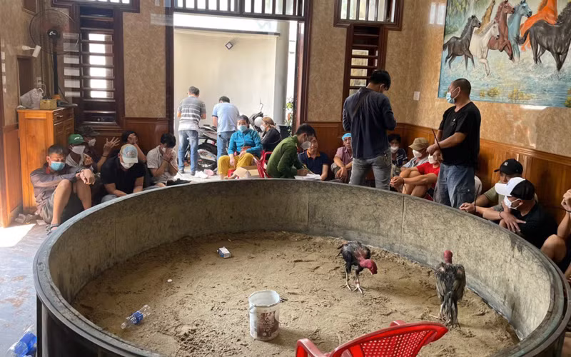 Hàng chục người bị phát hiện tại sới gà đá ăn tiền.