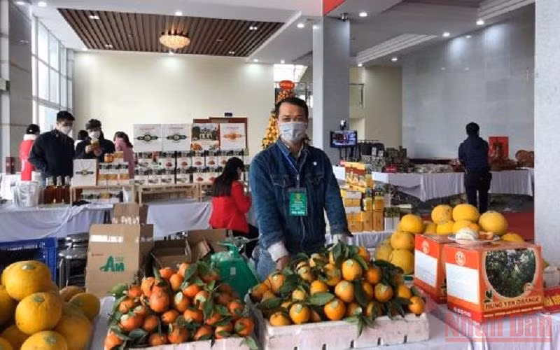Trưng bày sản phẩm cam tại Hội nghị kết nối cung cầu tiêu thụ cam và sản phẩm nông nghiệp-công nghiệp. (Ảnh: PHẠM HÀ).