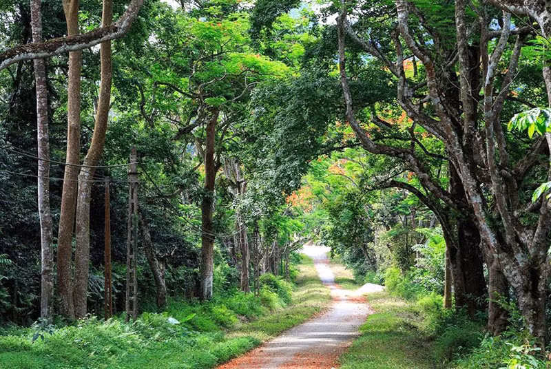 Đi đâu, chơi gì dịp nghỉ lễ 2-9 trong dịch Covid-19? -0