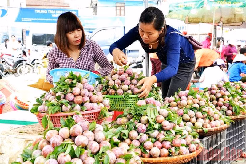 Du lịch hè với “Festival cao nguyên trắng Bắc Hà” -0