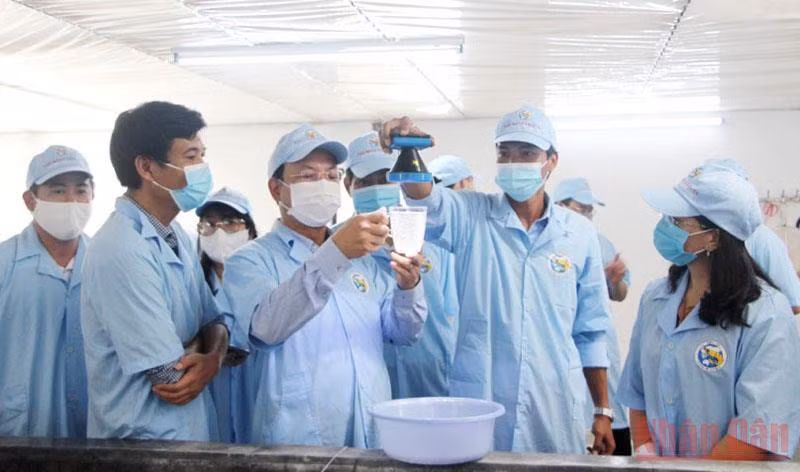 Phát triển nông nghiệp công nghệ cao ở Đầm Hà -0