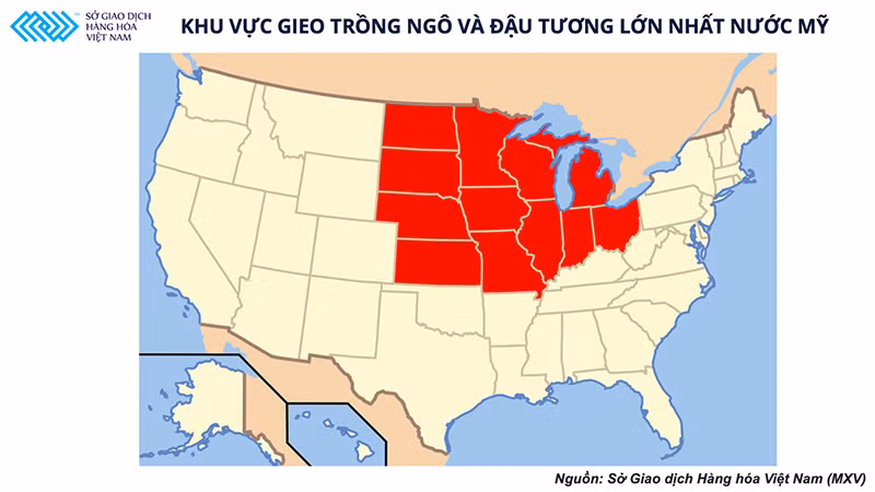 Báo cáo cung-cầu không đạt được kỳ vọng, thị trường nông sản đang dần chuyển mối quan tâm sang mùa vụ tại Mỹ -0