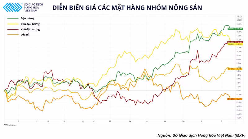 Báo cáo cung-cầu không đạt được kỳ vọng, thị trường nông sản đang dần chuyển mối quan tâm sang mùa vụ tại Mỹ -0