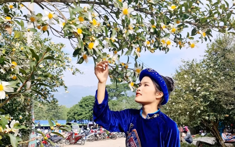Quảng Ninh khai Hội hoa Sở năm 2020 -0