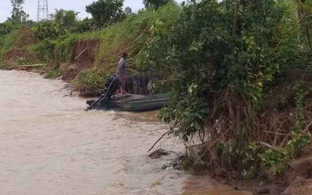 Một đoạn bờ sông Tiền ở Đồng Tháp bị sạt lở.