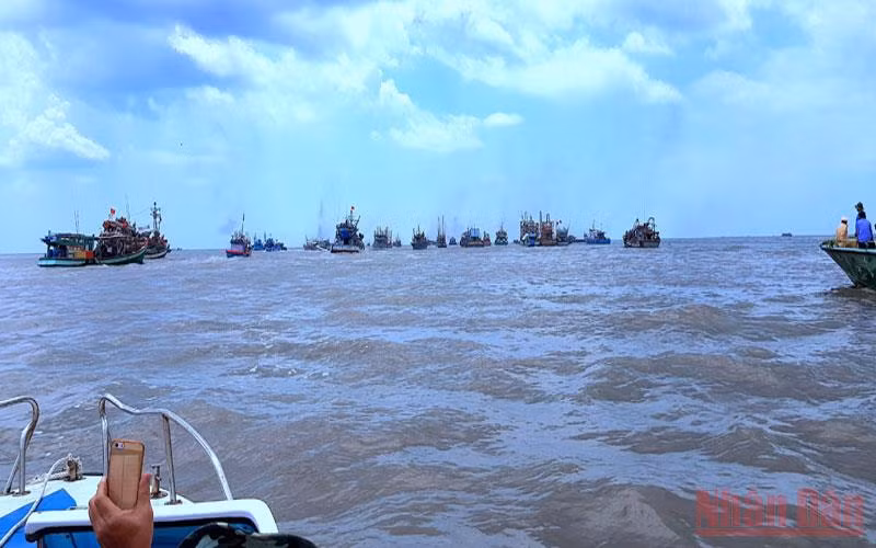 Cà Mau kêu gọi tàu thuyền vào nơi tránh, trú bão an toàn -0