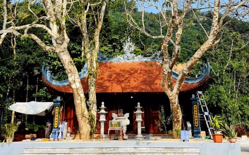 mieuong-1607676630683.jpg