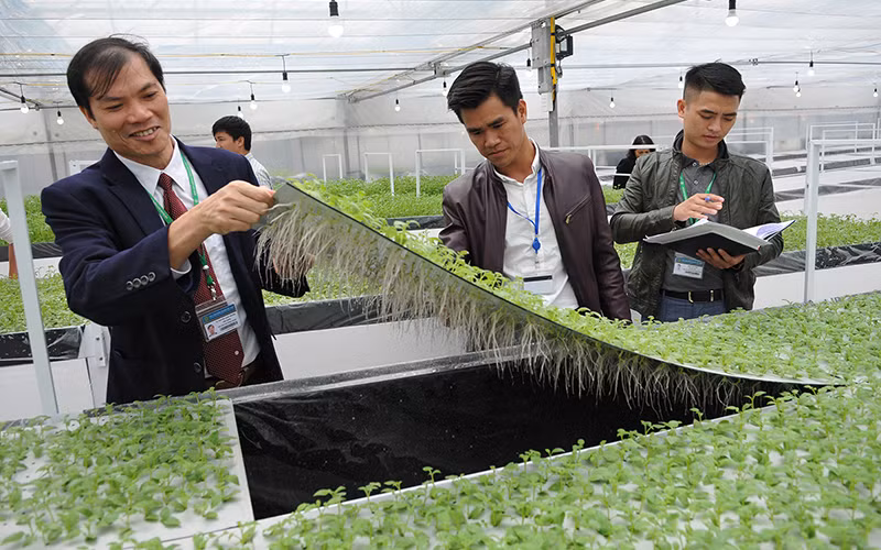Ứng dụng khoa học kỹ thuật trong sản xuất nông nghiệp là xu hướng tất yếu để hội nhập và phát triển. Ảnh: Ngọc Mai