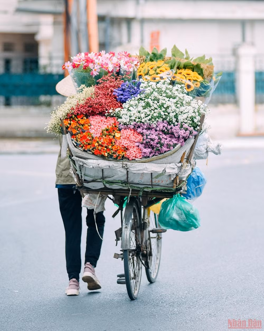 Xôn xao Hà Nội mùa 