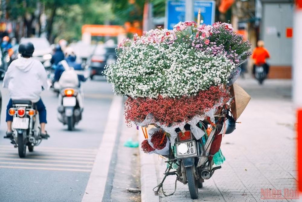 Xôn xao Hà Nội mùa 