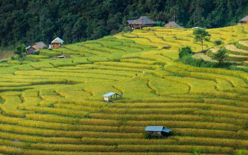 Khu ruộng bậc thang ở Mae Chaem, Chiang Mai, một trong những địa điểm quay phim được ưa chuộng tại Thái Lan. (Ảnh: Bưu điện Bangkok)