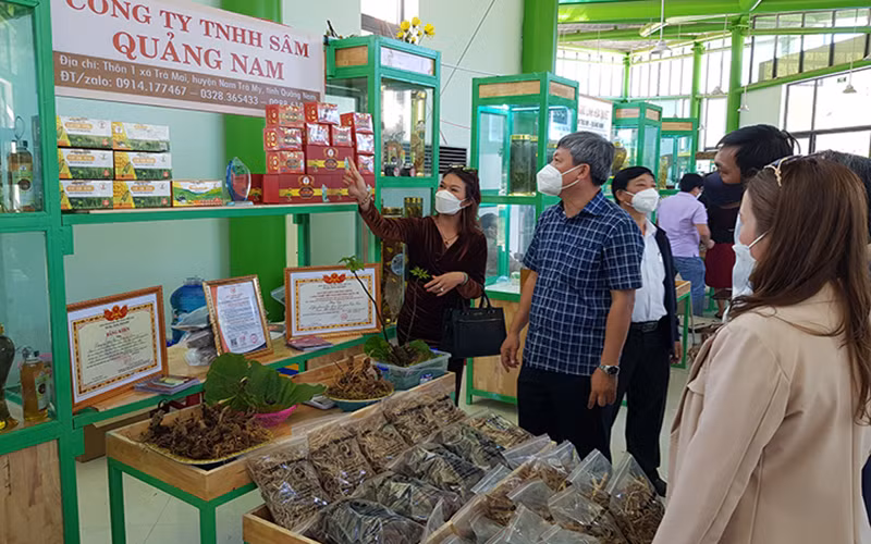 Nhiều doanh nghiệp tham gia giới thiệu, bán các sản phẩm sâm Ngọc Linh.