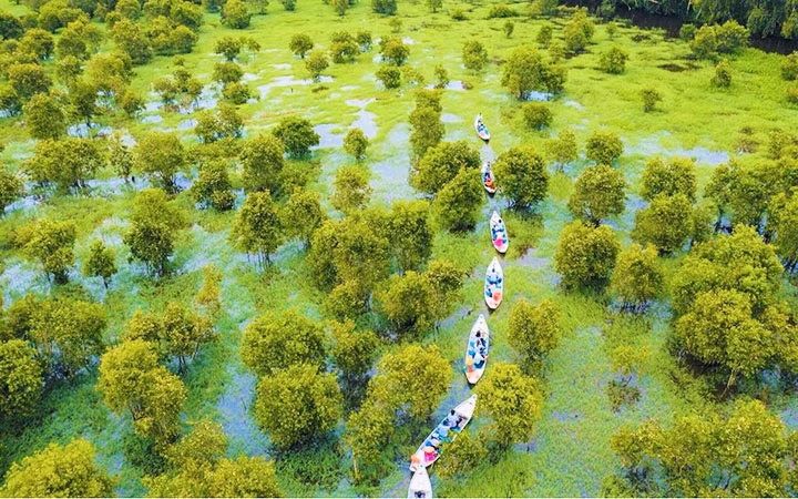 Du khách đi xuồng xuyên qua rừng tràm Trà Sư để hòa mình vào thiên nhiên thơ mộng.