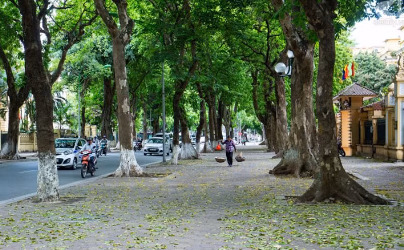 Ảnh minh họa.