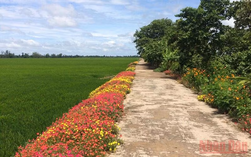 Khát vọng xây dựng nông thôn mới nâng cao ở Tháp Mười -0