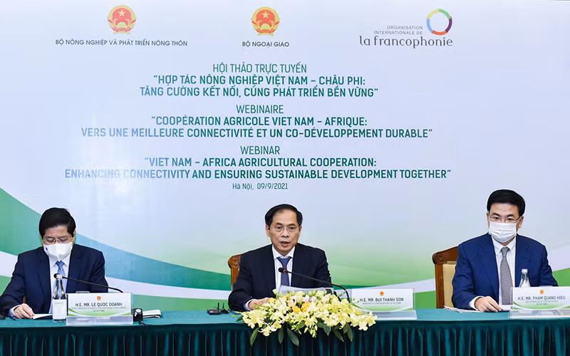 Việt Nam đóng góp có trách nhiệm vì hòa bình và an ninh toàn cầu -0