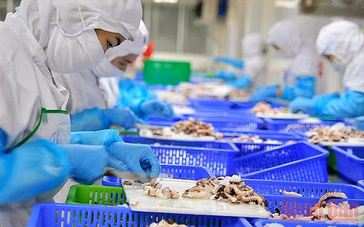 Dịch Covid-19 tác động lớn tới thị trường lao động - việc làm nước ta.(Ảnh minh họa)