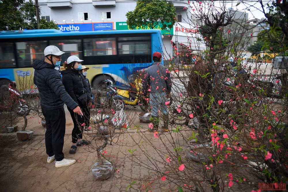 Những khoảng khắc ngày cuối năm -0