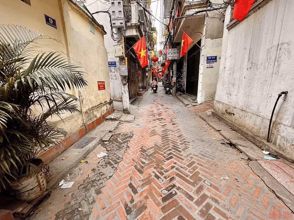 5conglang_ThuyKHue-1646065175747.jpeg