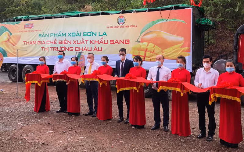 Cắt băng xuất khẩu xoài sang châu Âu.