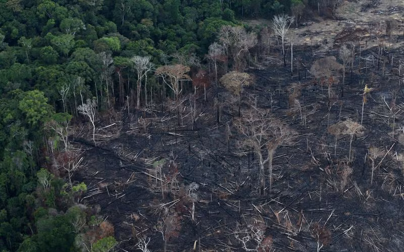 Một khu vực rừng bị tàn phá ở Itaituba, bang Para, Brazil, ngày 26/9/2019. (Ảnh: Reuters)