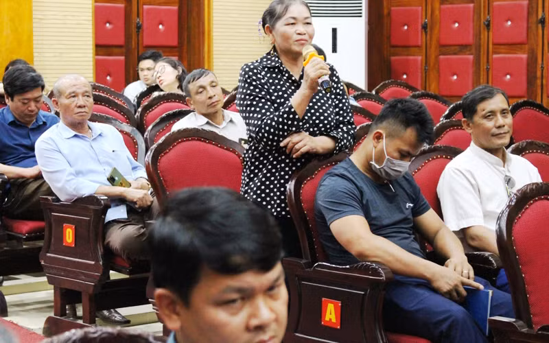 Phát triển cây gai xanh gắn với chế biến ở một số tỉnh phía bắc -0
