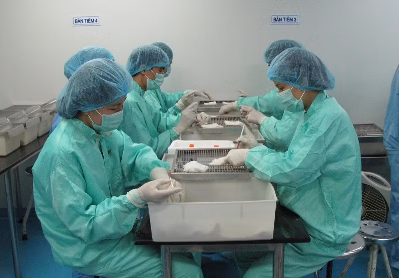 VABIOTECH đã thí nghiệm thành công trên chuột từ tháng 6-2020.