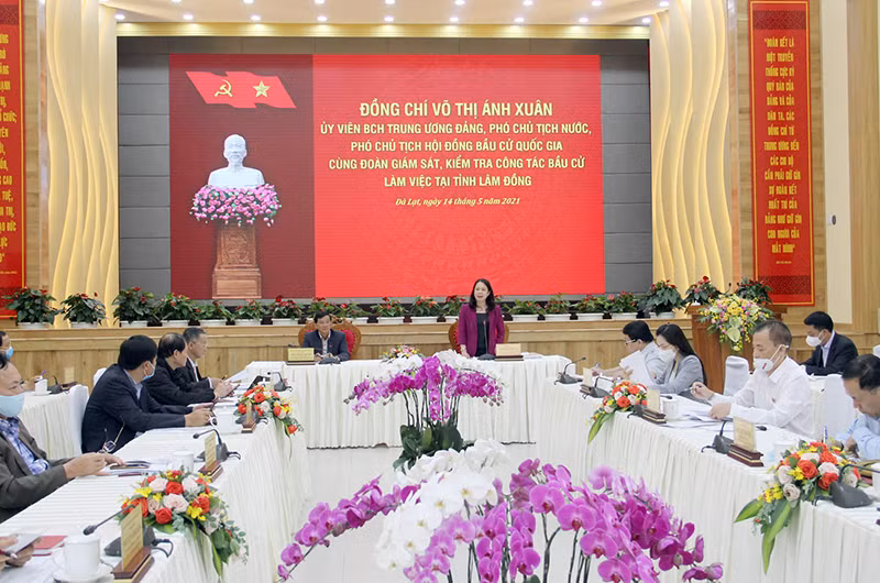 Phó Chủ tịch nước Võ Thị Ánh Xuân phát biểu ý kiến tại buổi làm việc.