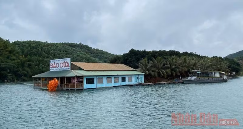 Đảo Dừa - đảo du lịch xanh tựa lưng vào mênh mông “rừng ông Tuy”.