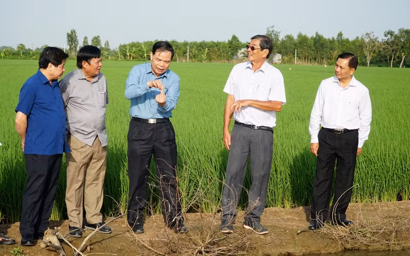 Đoàn công tác Thăm Trung tâm lai tạo giống của Kỹ sư Hồ Quang Cua.
