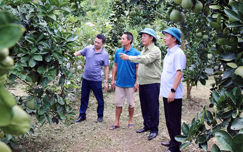 Chủ động, sáng tạo thực hiện “mục tiêu kép” -0