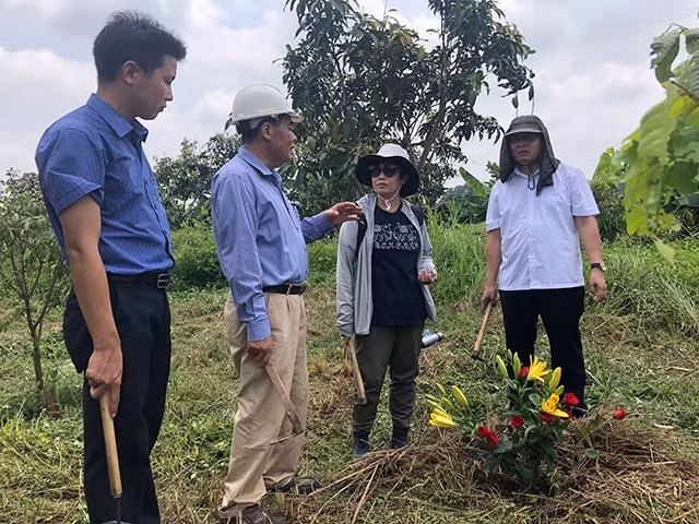 PGS.TS Bùi Văn Liêm, GS Lâm Mỹ Dung cùng cộng sự và Trưởng Ban quản lý di tích danh thắng Hà Nội Đỗ Doãn Văn trao đổi về dự án khai quật tại hiện trường.