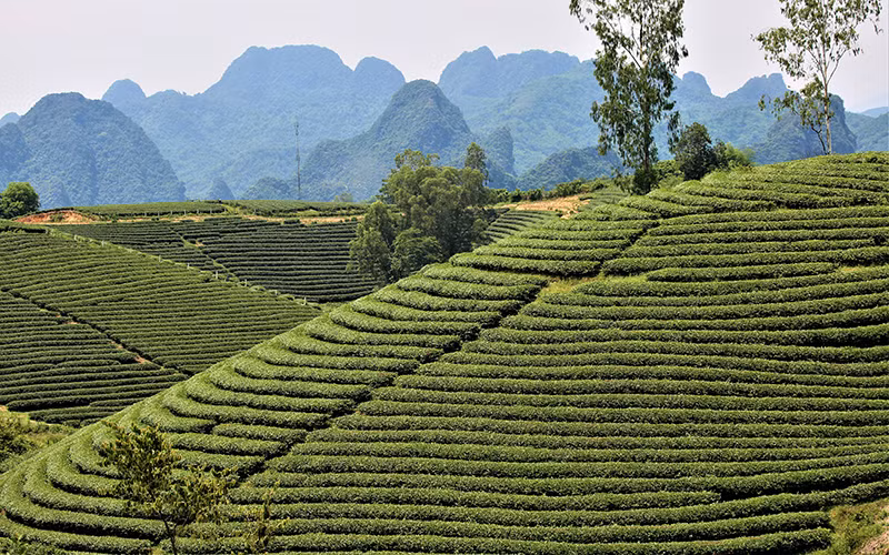 Điểm sáng Hùng Sơn -0