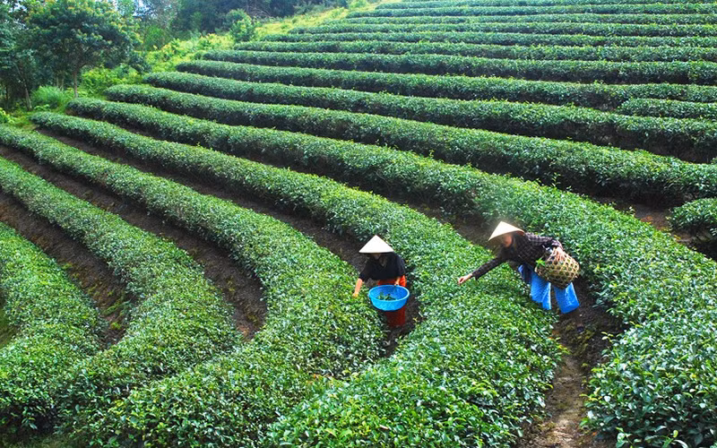 Điểm sáng Hùng Sơn -0