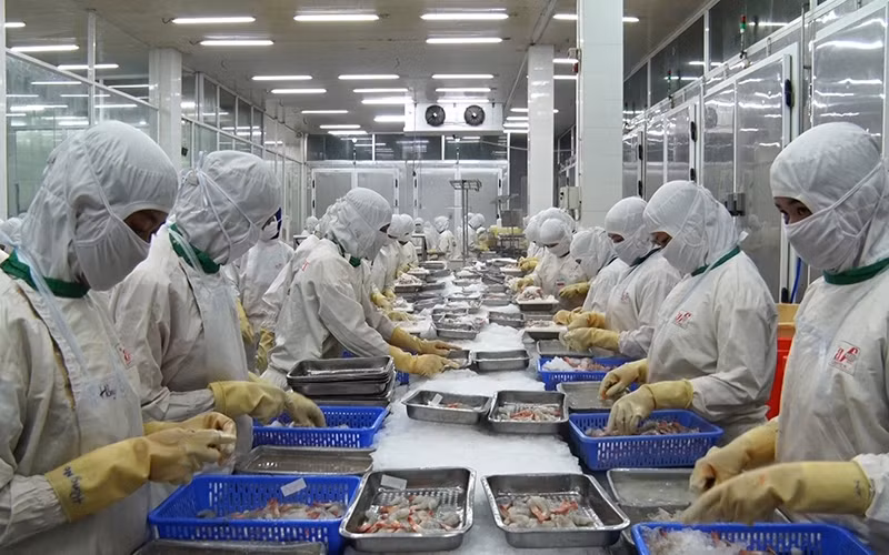 Đồng bằng sông Cửu Long chỉ còn 250 doanh nghiệp hoạt động cầm chừng. 