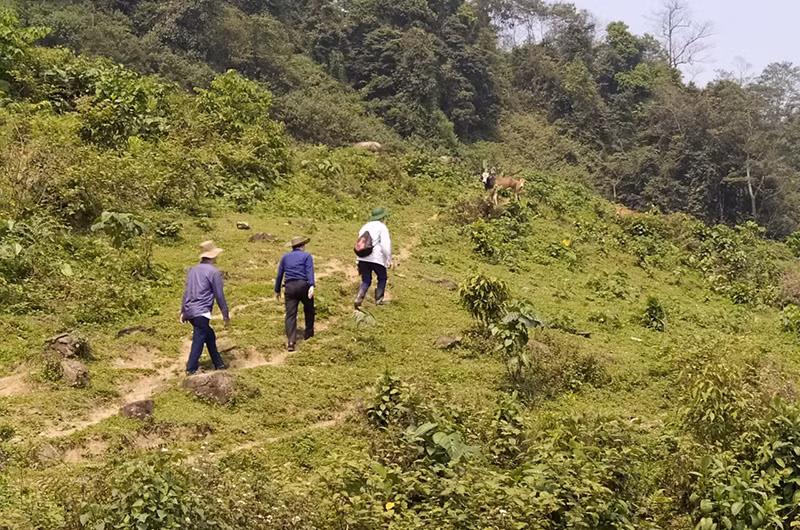 Đường từ bản Huồi Giáng 3 sang bản Thắm Hón vốn là đường mòn người dân đi thăm thân và sản xuất nương rẫy.