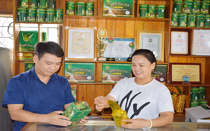 Giới thiệu sản phẩm chè shan tuyết Suối Giàng, huyện Văn Chấn (Yên Bái). Ảnh: THANH SƠN
