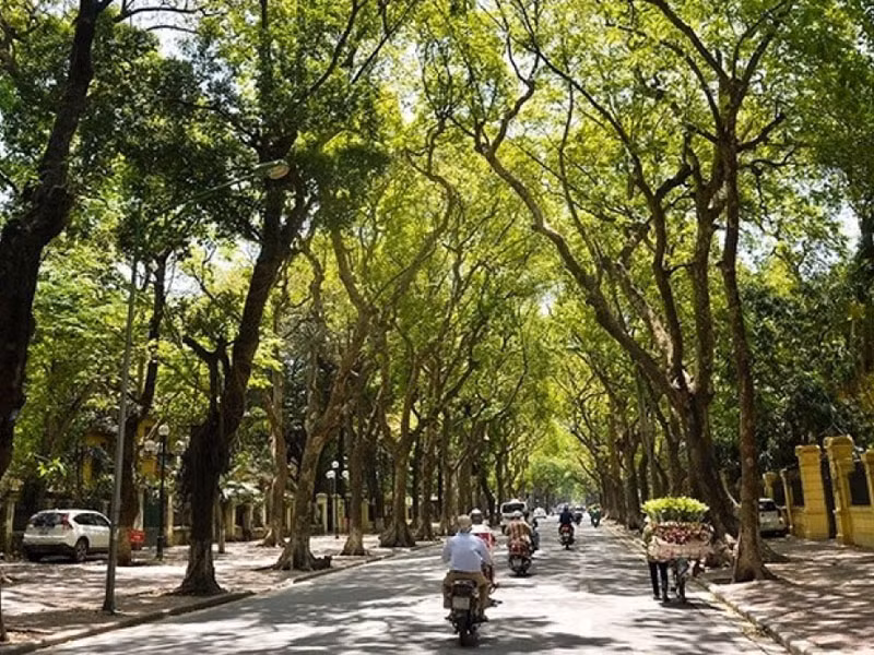 Ảnh minh họa.