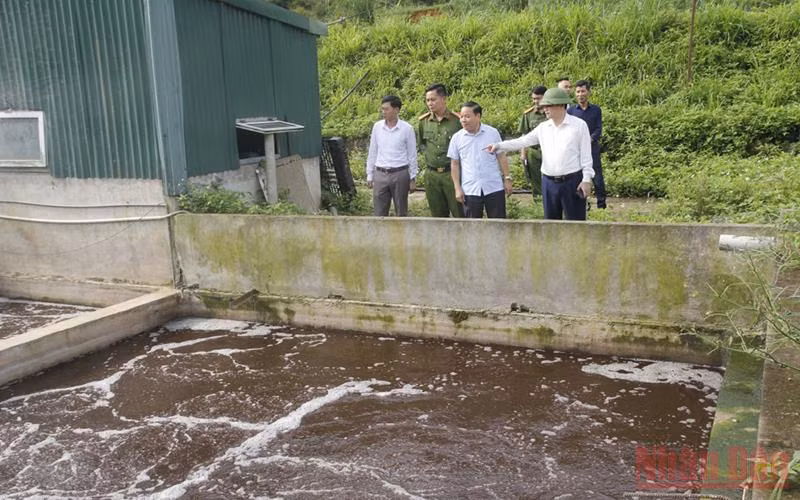 Đoàn kiểm tra của Sơn La kiểm tra tại Công ty trách nhiệm hữu hạn sản xuất và thương mại Cát Quế.