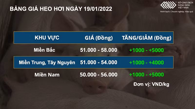 Thị trường nông sản diễn biến phân hóa, giá heo hơi vẫn duy trì đà tăng -0