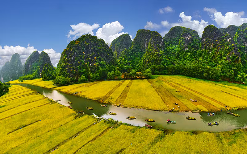Ngẩn ngơ “Mùa vàng Tam Cốc- Bích Động” -0